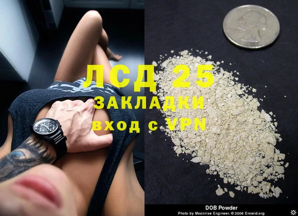 амф Дмитриев