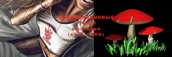 амф Дмитриев