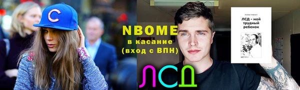 амф Дмитриев