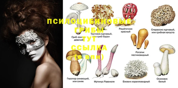 MDMA Premium VHQ Бородино