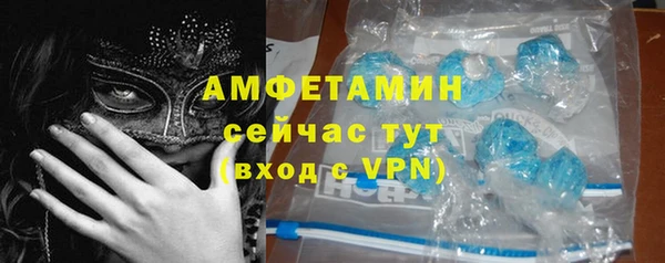амф Дмитриев