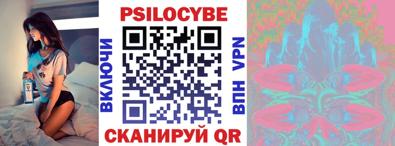 Купить  Кулебаки  Псилоцибиновые грибы MAGIC MUSHROOMS 
